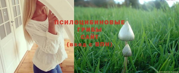 бошки Магас