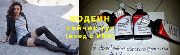 индика Майский
