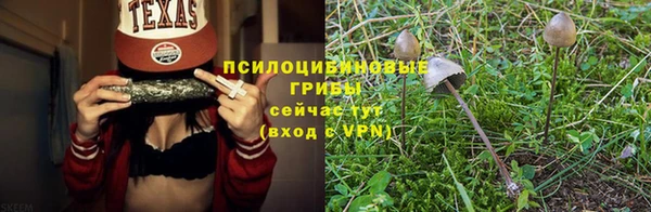 бошки Магас