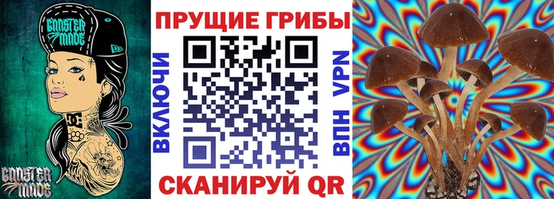 Псилоцибиновые грибы GOLDEN TEACHER  Купить  Мурманск 